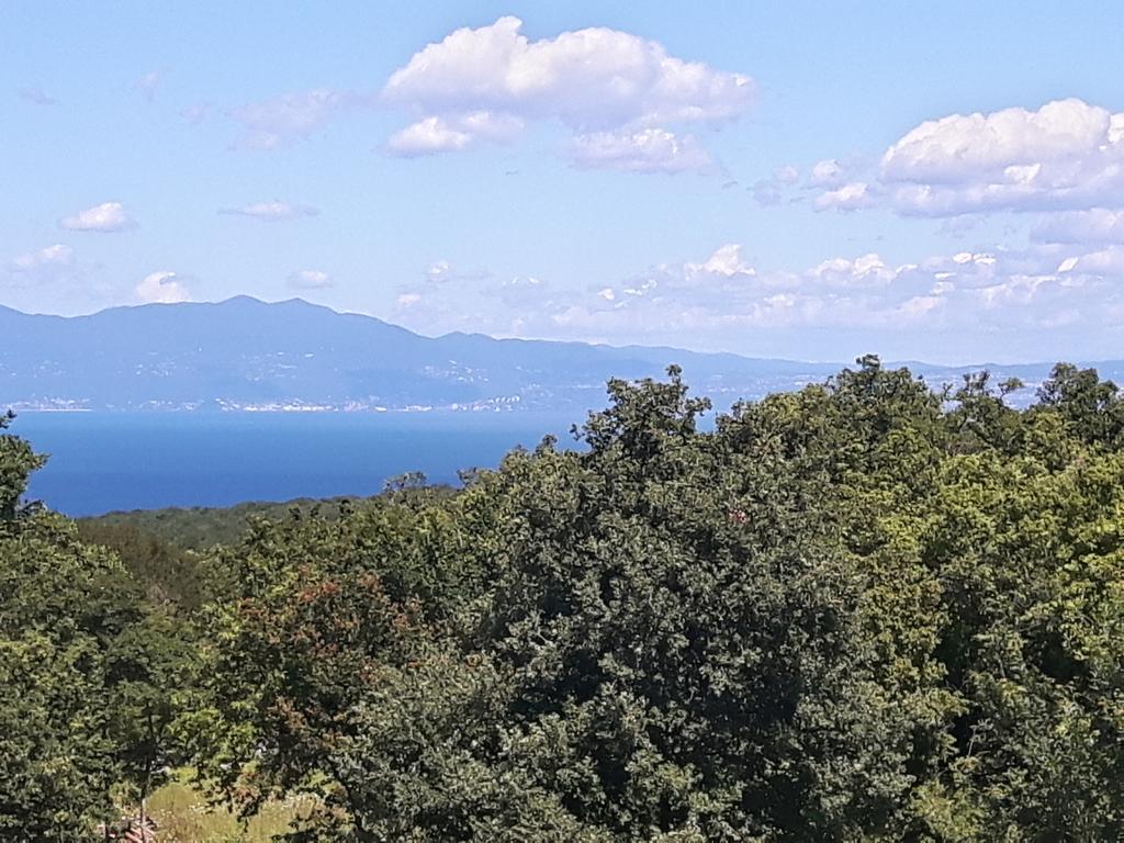 Apartment Krizanovic マリンスカ エクステリア 写真